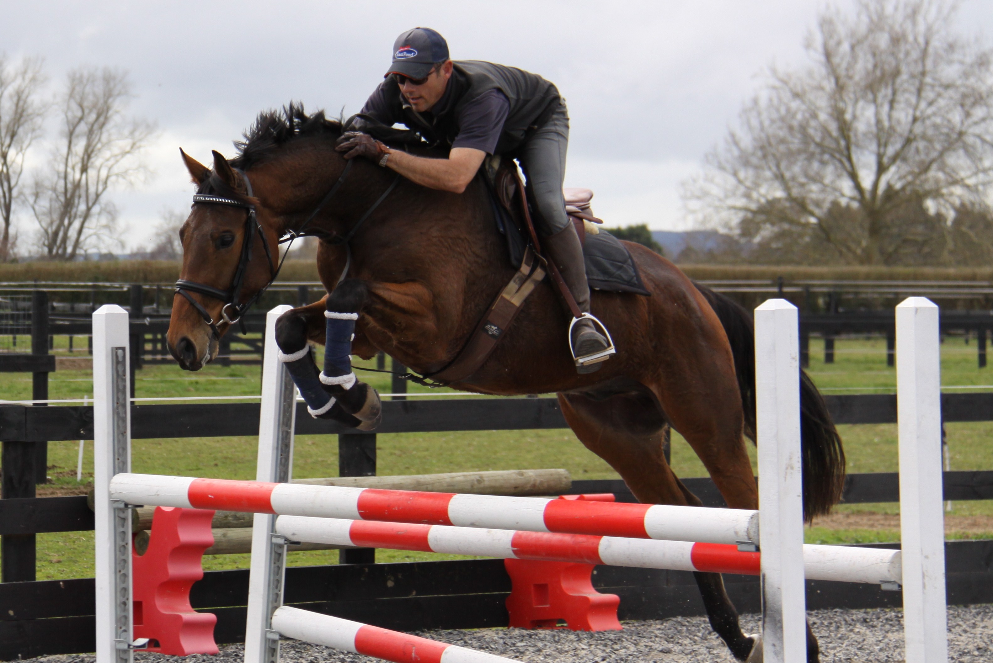 John Twomey And Toby The Hanley Formula